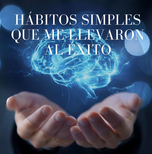 Hábitos Simples Que Me Llevaron Al Éxito